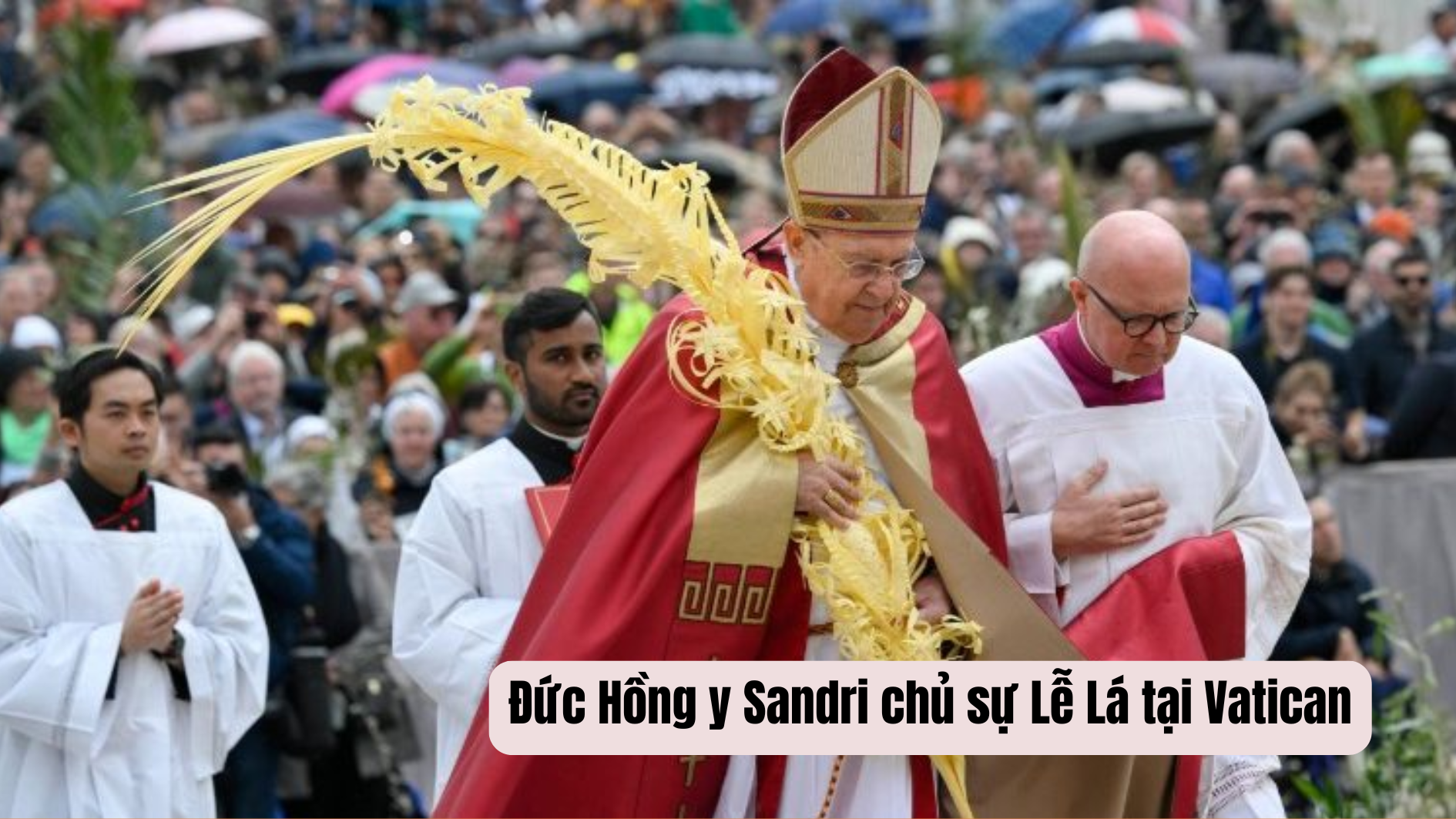 Đức Hồng y Sandri chủ sự Lễ Lá tại Vatican